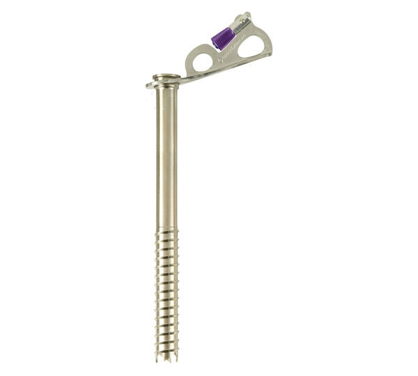 Black Diamond Express Ice Screw - Ascent Outdoors LLC