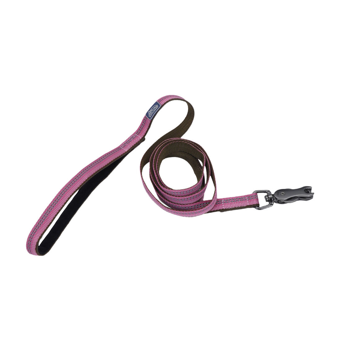 Coastal Pet K9 Explorer Reflective Dog Leash with Scissor Snap