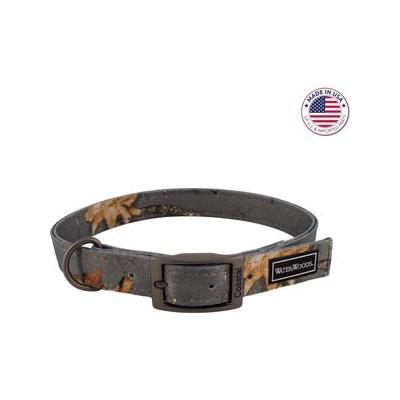 Water & Woods Double-Ply Patterned Hound Dog Collar Country Roots Evergreen Medium: 18-In Neck 1-In Wide