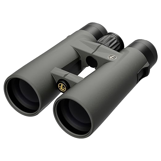 Leupold BX-4 Pro Guide HD Binoculars, 12x50mm Gen 2 (184763)