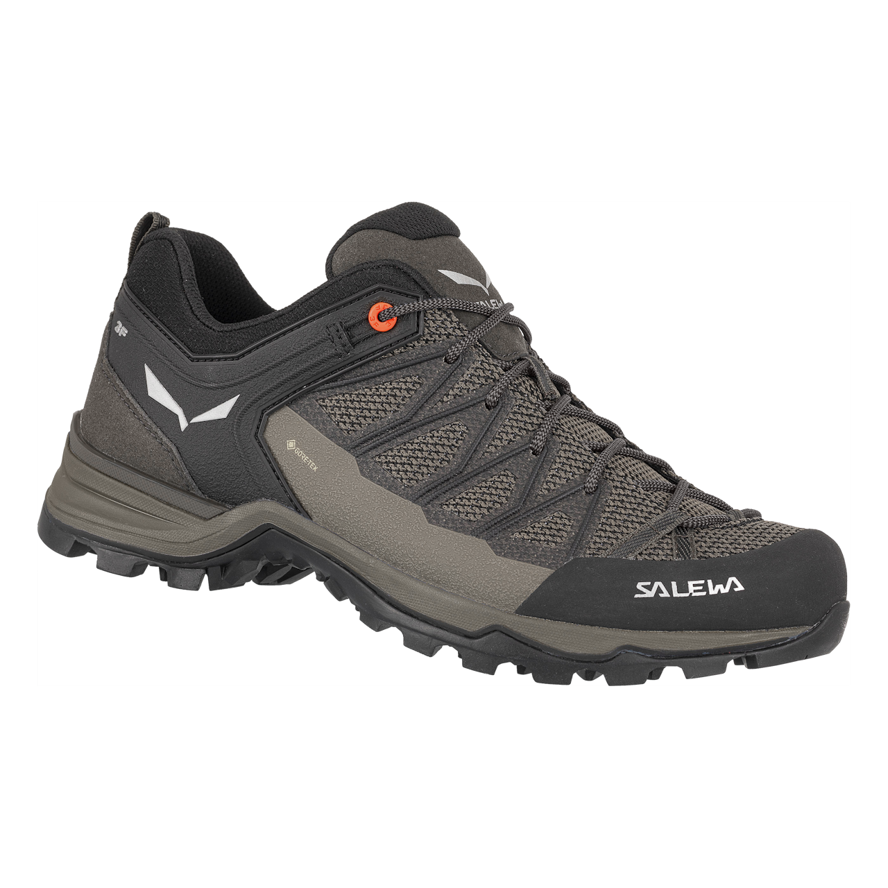 Salewa Mtn Trainer Lite Gtx Hiking Shoe Men's