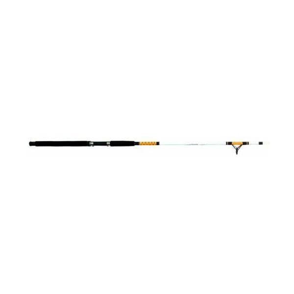 Sea Striker SS1100 Surf Spinning Rod 11' 2pc