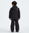 The North Face Kids' Freedom Insulated Jacket
