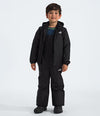 The North Face Kids' Freedom Insulated Jacket