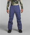 The North Face Men's Freedom Insulated Pant