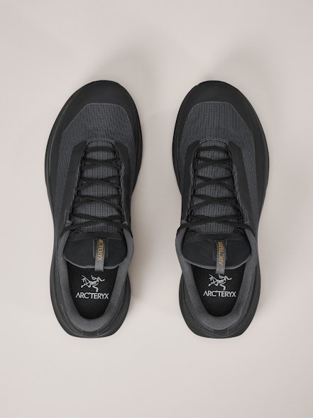 Arc'teryx Norvan LD 4 GTX Shoe Men's