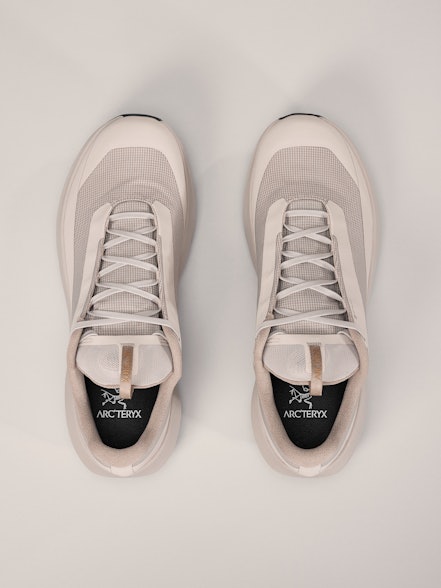 Arc'teryx Norvan LD 4 GTX Shoe Men's