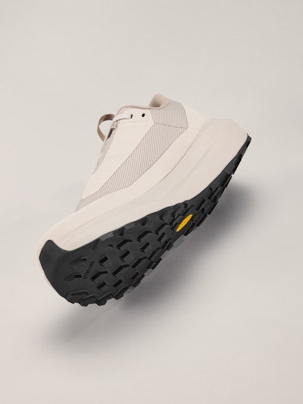 Arc'teryx Norvan LD 4 GTX Shoe Men's