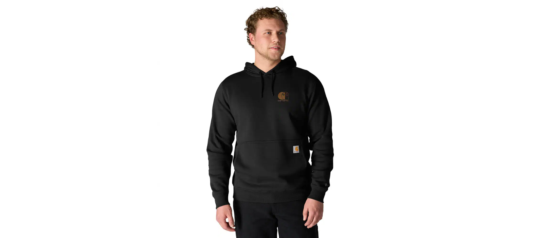 Carhartt Men's Force Relaxed Fit Lightweight Logo Graphic Sweatshirt