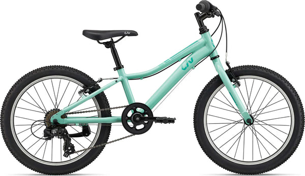 Giant Enchant 20 Lite