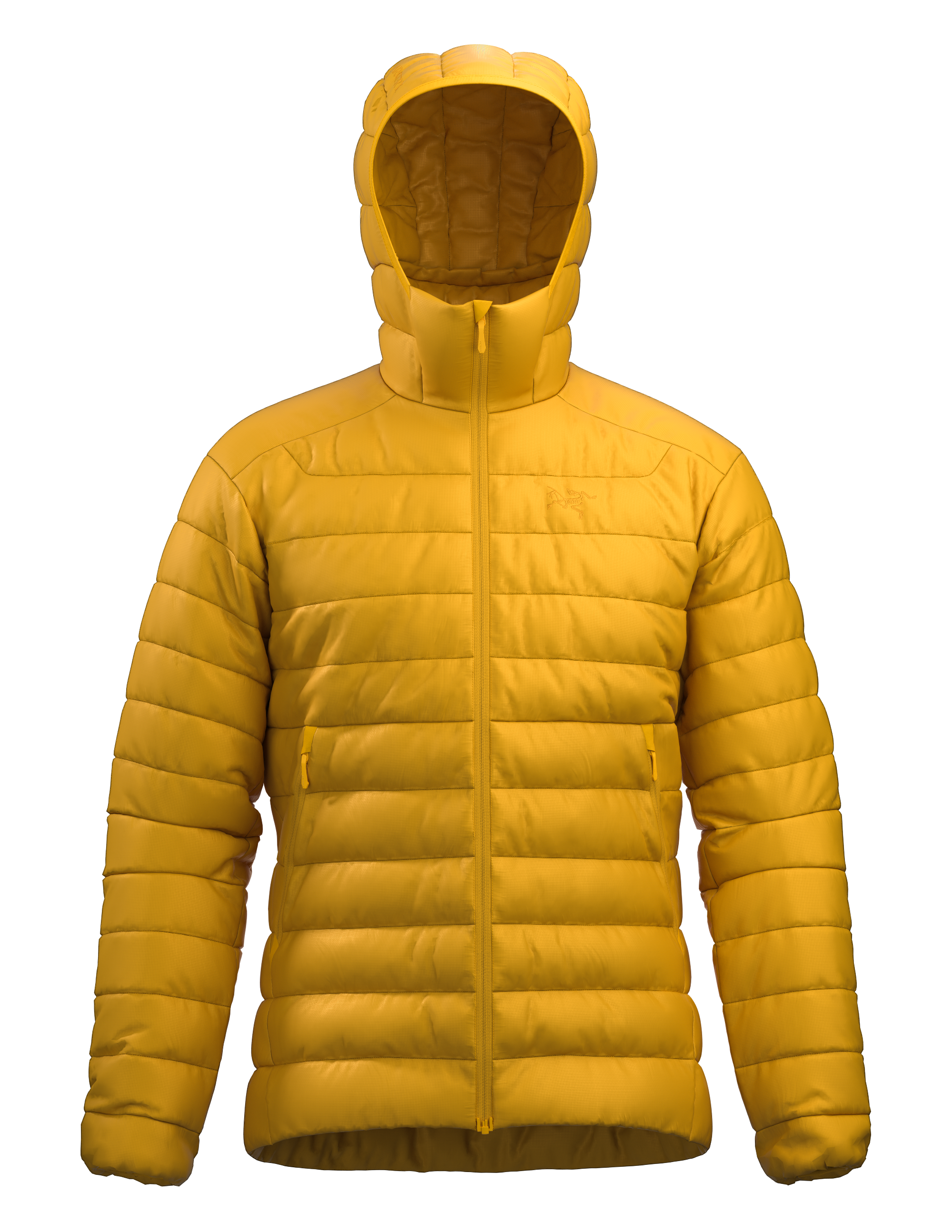 Arc'teryx Cerium Hoody Men's