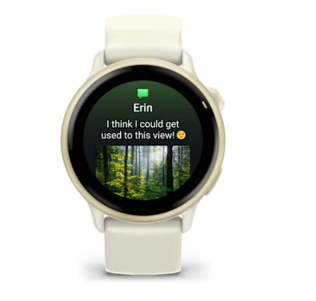 Garmin vivoactive 6