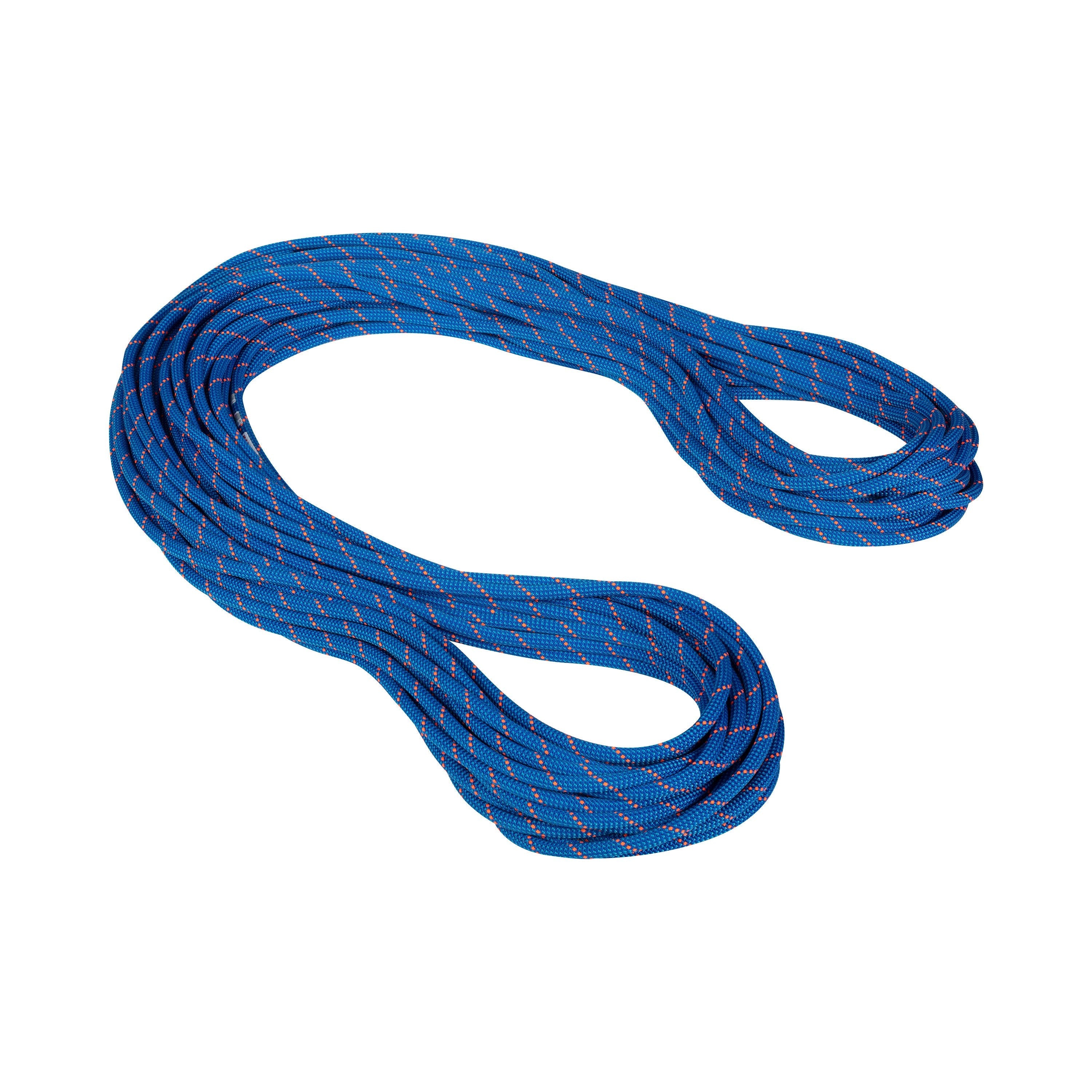 Mammut 9.5 Crag Dry Rope - Ascent Outdoors LLC
