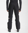 The North Face Men's Freedom Pant