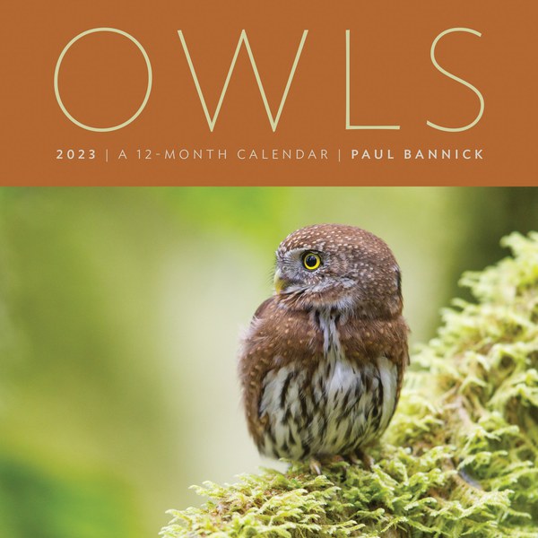 Mountaineers Books Owls 2023 Wall Calendar