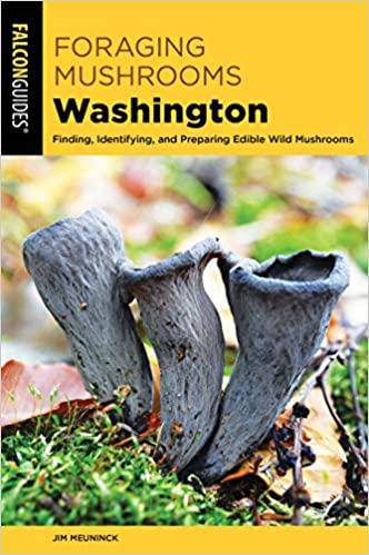Falconguides Foraging Mushrooms Washington