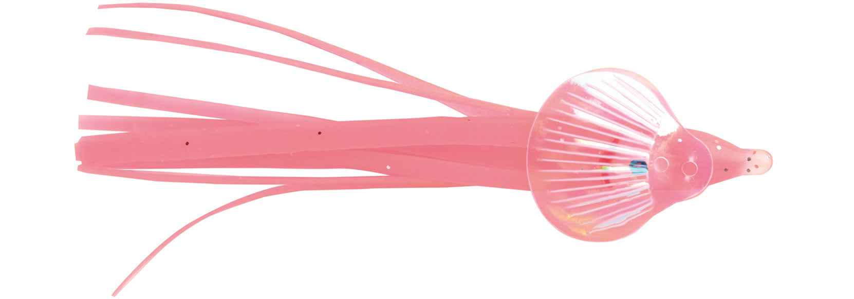 Pline Geisha Squids