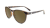 Knockaround Mai Tais