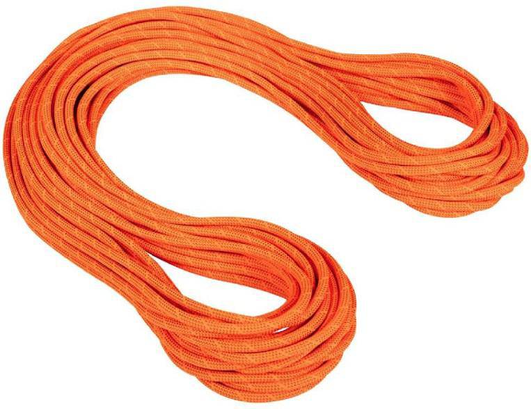 Mammut 9.8 Crag Dry Rope Dry Standard Safety