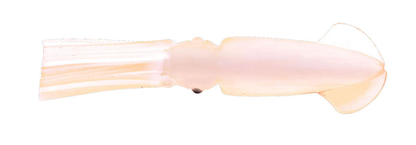 Pline Rock Cod Rig